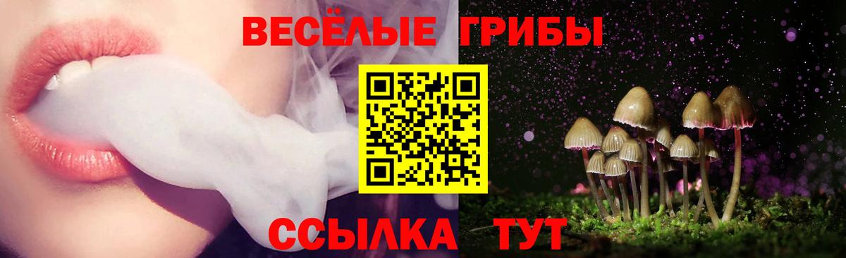 дарнет шоп  Вход с VPN  Псилоцибиновые грибы мухоморы  Мариинск  Псилоцибиновые грибы Magic Shrooms 